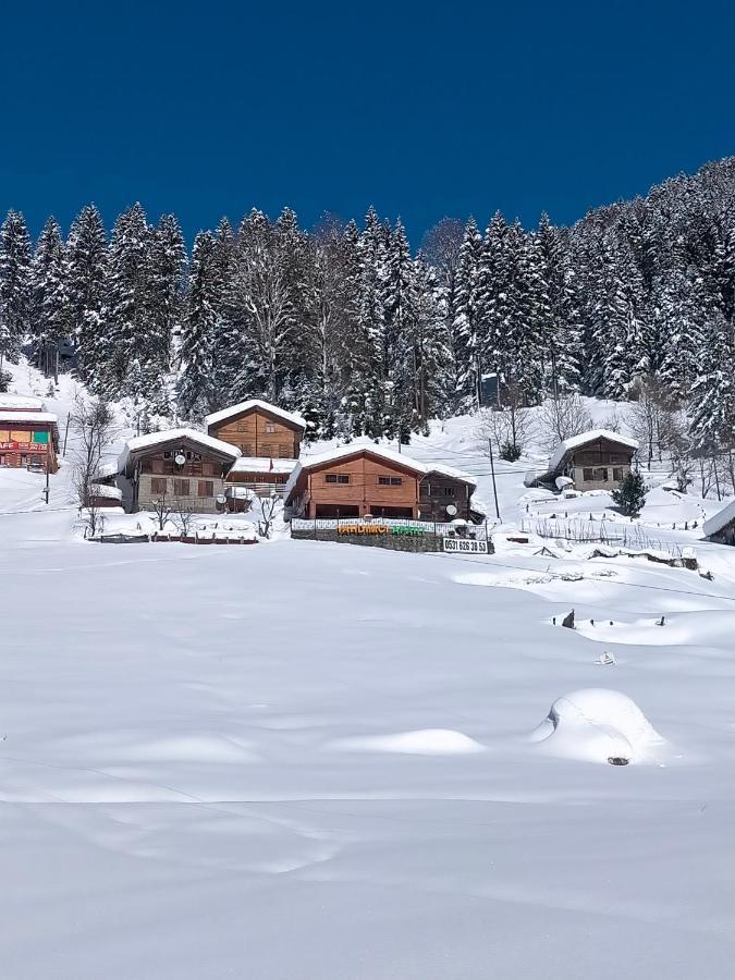 Ayder Yardimci Apart Exterior foto