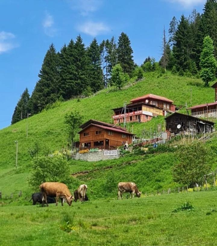 Ayder Yardimci Apart Exterior foto